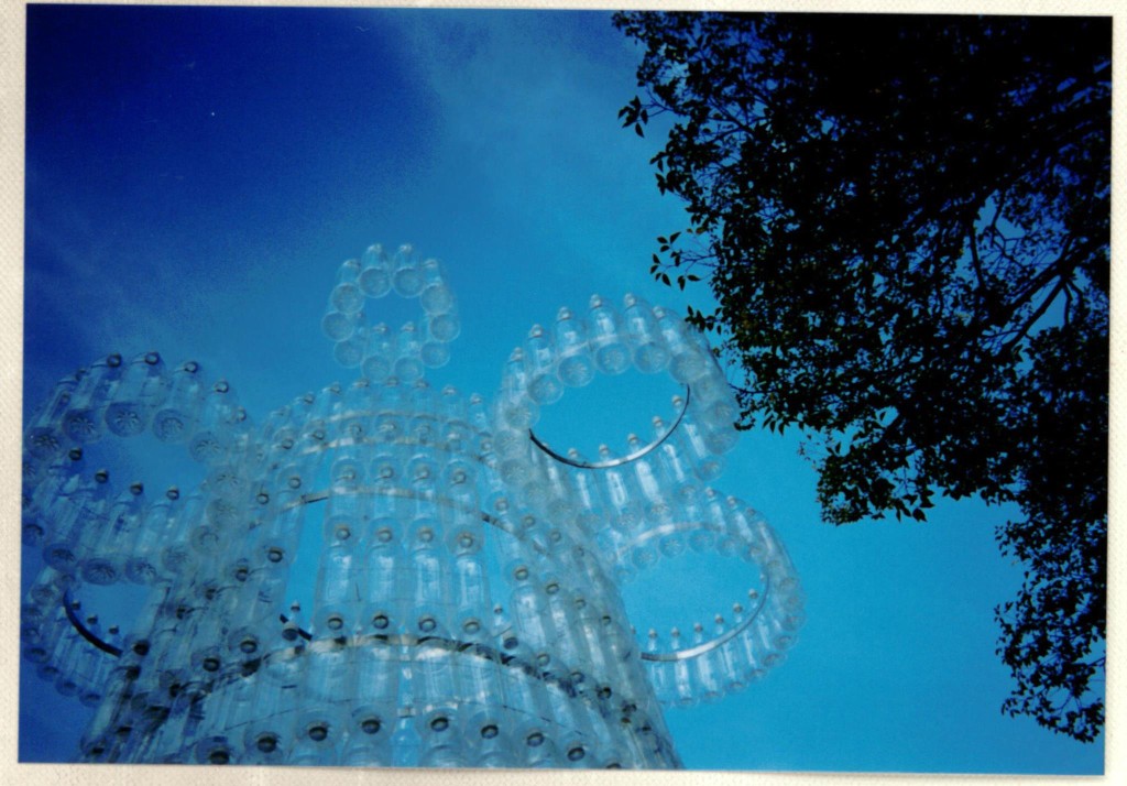 738104_10151325223144799_993855200_o