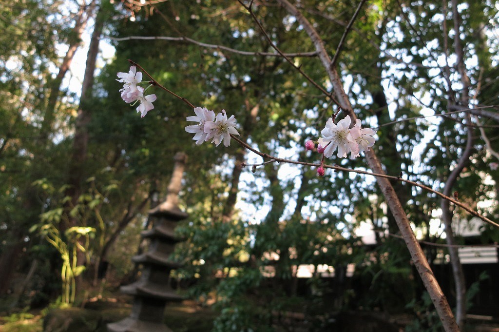 859533_10151438600909799_1516901555_o